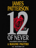 Book Cover for "12th of Never"