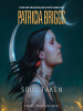 Book Cover for "Soul Taken"
