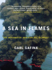 Book Cover for "A Sea in Flames"