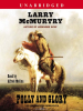 Book Cover for "Folly and Glory"