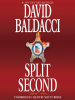 Book Cover for "Split Second"
