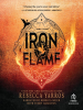 Book Cover for "Iron Flame"