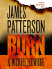 Book Cover for "Burn"