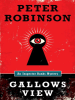 Book Cover for "Gallows View"