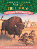 Book Cover for "Buffalo Before Breakfast"