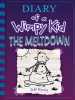 Book Cover for "The Meltdown"