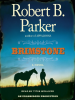 Book Cover for "Brimstone"