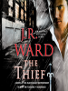 Book Cover for "The Thief"