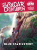 Book Cover for "Blue Bay Mystery"